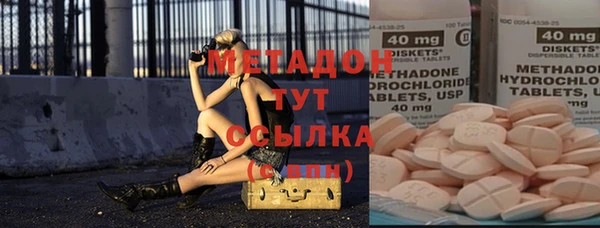 индика Алексин
