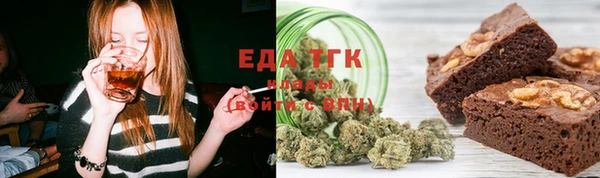 индика Алексин