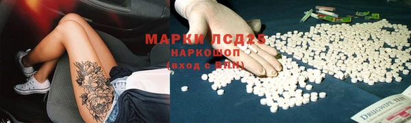 индика Алексин