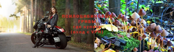 гидропоника Алзамай