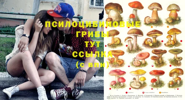 гидропоника Алзамай
