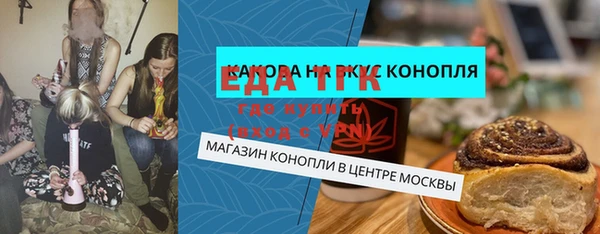 индика Алексин