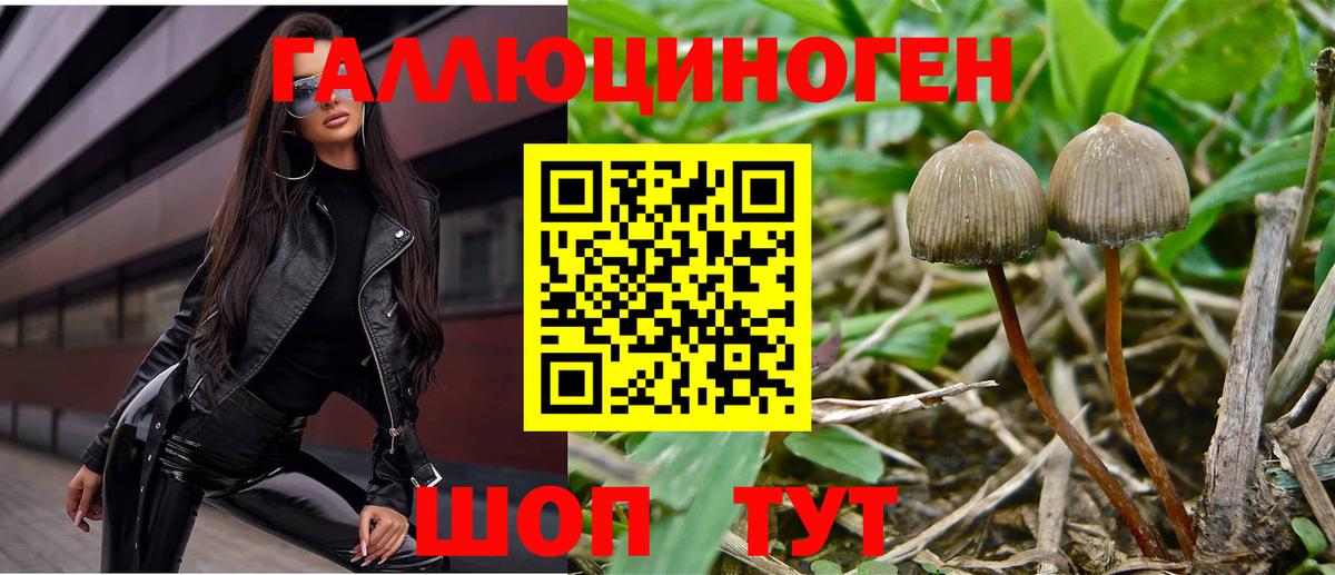 Галлюциногенные грибы MAGIC MUSHROOMS Ленинск-Кузнецкий